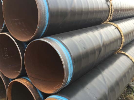 3PE好色先生TV下载安卓