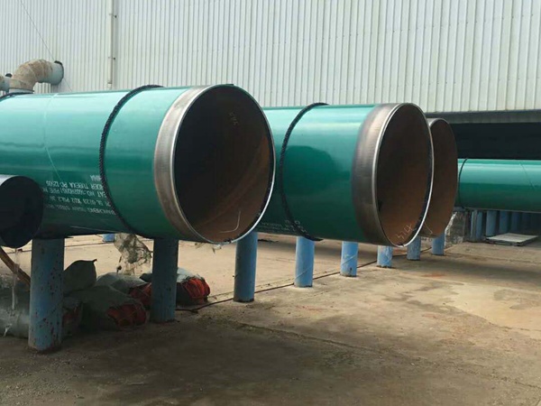 3PE好色先生TV下载安卓